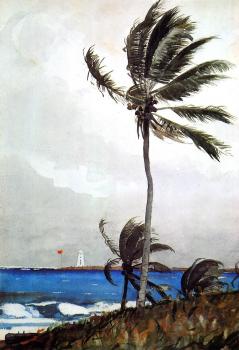 溫斯洛 荷默 Palm Tree, Nassau